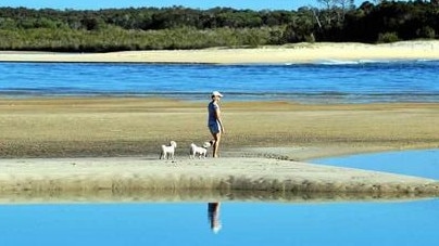 Noosa's popular dog beach is ready to be restored as part of record Noosa Council capital works spend.