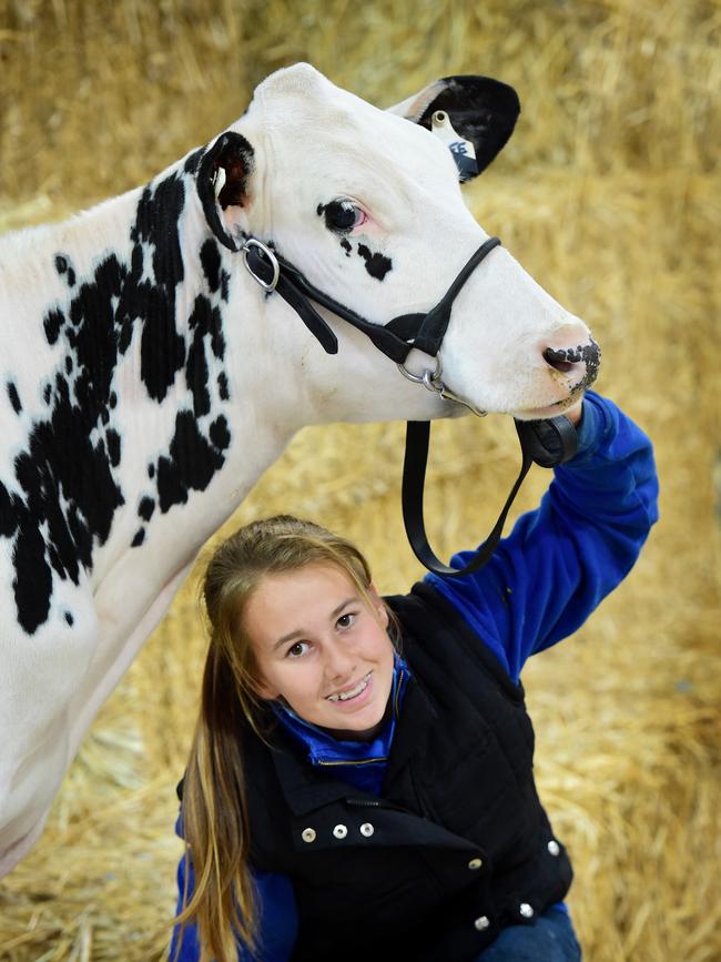 Katie Archer from Finley High School who won first prize in the dairy youth classic junior heifer 9-12 months class with her Holstein heifer named Waltopso Atlee Connie at the Royal Melbourne Show. Picture: Zoe Phillips