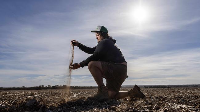 Daniel Marrett on his property at Peake. The dry weather is causing issues for supplies of feed and crops Picture: Kelly Barnes