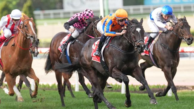 Imperatriz was stunning in her McEwen Stakes victory. Picture: Racing Photos via Getty Images