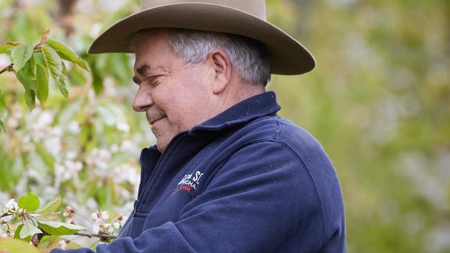 NSW orchardist Guy Gaeta welcomed the ACCC’s legal action. Picture: Graham Schumann