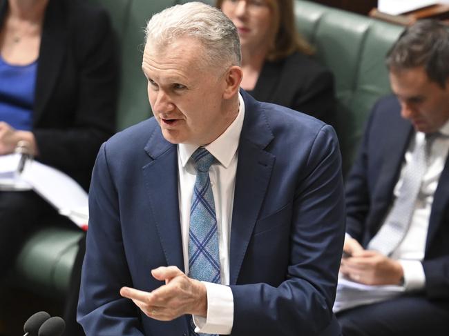 CANBERRA, Australia - NewsWire Photos - August 14, 2024: Leader of the House, Employment and Workplace Relations and Arts Minister, Tony Burke during Question Time at Parliament House in Canberra. Picture: NewsWire / Martin Ollman