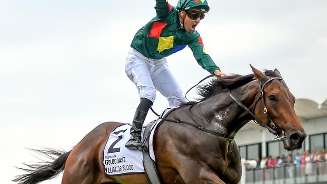Jockey Ryan Maloney has formed a winning combination with Alligator Blood. Picture: AAP