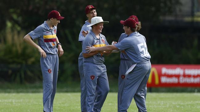 Stockton celebrate a wicket. Picture: Michael Gorton