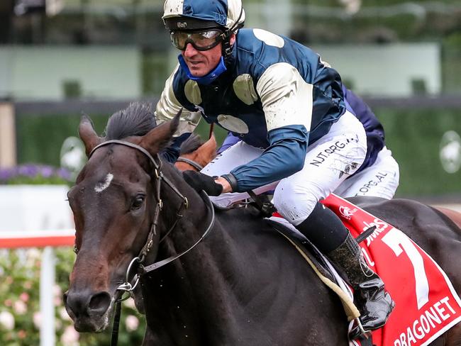 Sir Dragonet (IRE) ridden by Glen Boss wins the Ladbrokes Cox Plate at Moonee Valley Racecourse on October 24, 2020 in Moonee Ponds, Australia. (George Salpigtidis/Racing Photos via Getty Images)