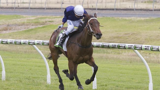 Dylan Caboche rides Metro Tramp to victory to give Dan Clarken and Oopy McGillvray a double at Morphettville. Picture: Atkins Photography