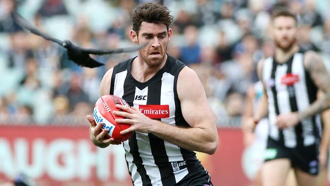 Tyson Goldsack evades a seagull. Picture: George Salpigtidis