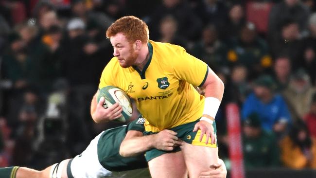 JOHANNESBURG, SOUTH AFRICA — JULY 20: Harry Johnson-Holmes of Australia during the The Rugby Championship match between South Africa and Australia at Emirates Airline Park on July 20, 2019 in Johannesburg, South Africa. (Photo by Lee Warren/Gallo Images/Getty Images)