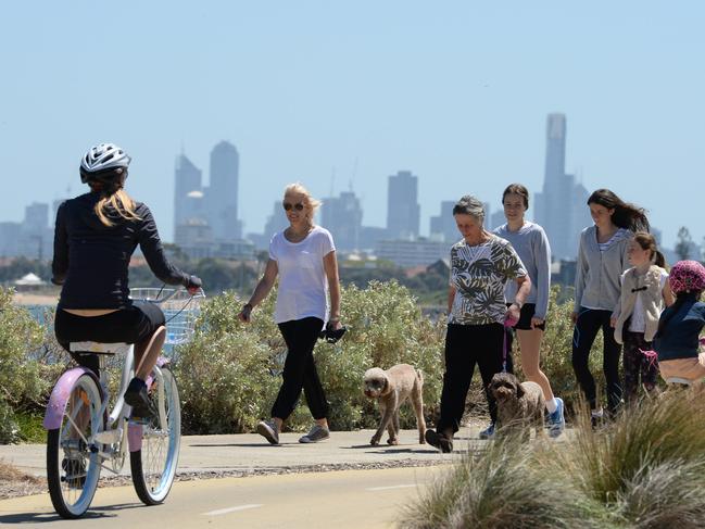 Melbourne Cup Day cyclists near North Road enjoying a perfect  sunny day by the bay.