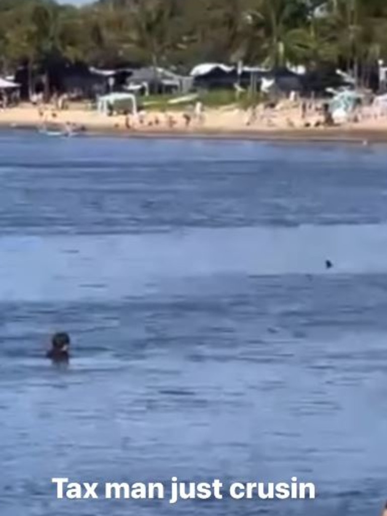 One man is unfazed by the close encounter and floats behind the shark. Picture: S**t Maroochydore/Instagram