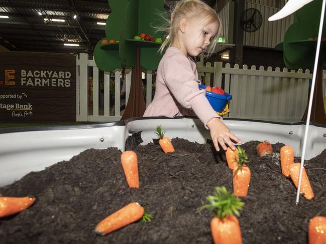 Willow Chapman 4yo enjoys the Little Backyaed Farmers. Toowoomba Royal Show. Saturday, April 1, 2023. Picture: Nev Madsen.