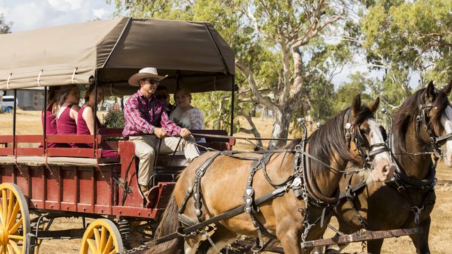 Paint your wagon: Maroon and gold for the Broncos, pic: Ben Clark Photography