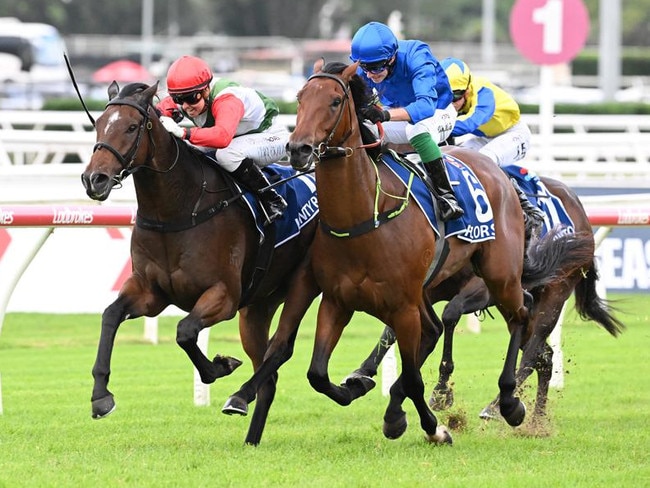 Cejay Graham lands the biggest win of her career on Kintyre in the Group 2 Queensland Guineas at Eagle Farm for trainer Gary Portelli. Picture: Grant Peters - Trackside Photography.