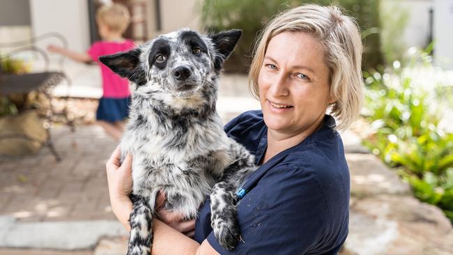 Slider on the mend with an RSPCA worker. Picture: RSPCA