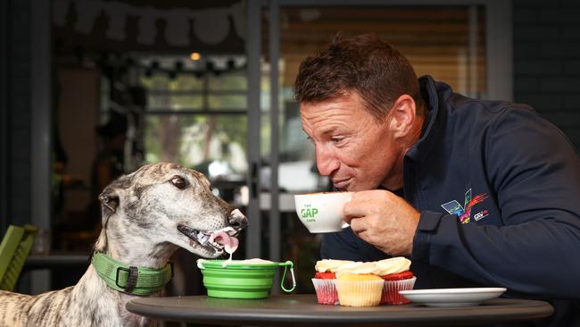 North Melbourne AFL great and Greyhound Racing Victoria Ambassador Brent Harvey has a coffee and a puppachino with Trev the 7 year old greyhound. Picture: David Caird