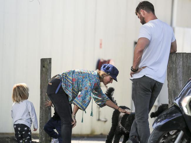 Stopping to pat a pair of dogs. Picture: Media Mode