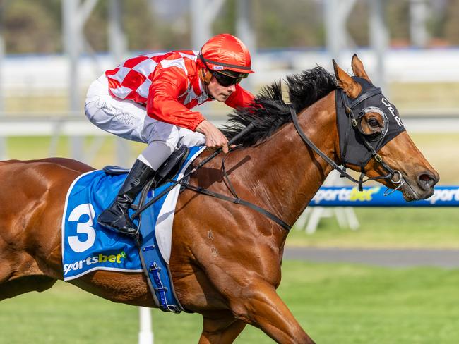 Sir Sway, ridden by Lachlan Neindorf, wins at Morphettville last-start. Picture: Makoto Kaneko