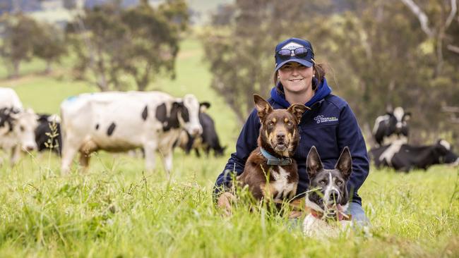 Dairy farmer Meg O'Loughlin on farm at Wooreen with her Border Collie named Snap and her Kelpie named Buster. Picture: Zoe Phillips