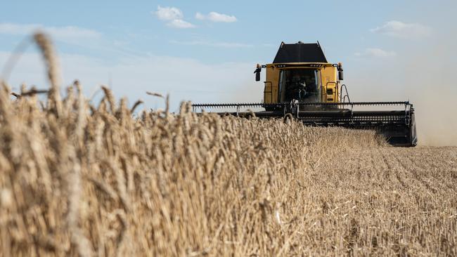 A combine harvester harvests a wheat crop near Myronivka, Ukraine.