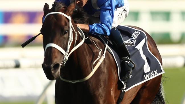 Winx in action at Royal Randwick Racecourse in 2019. Picture: Mark Metcalfe