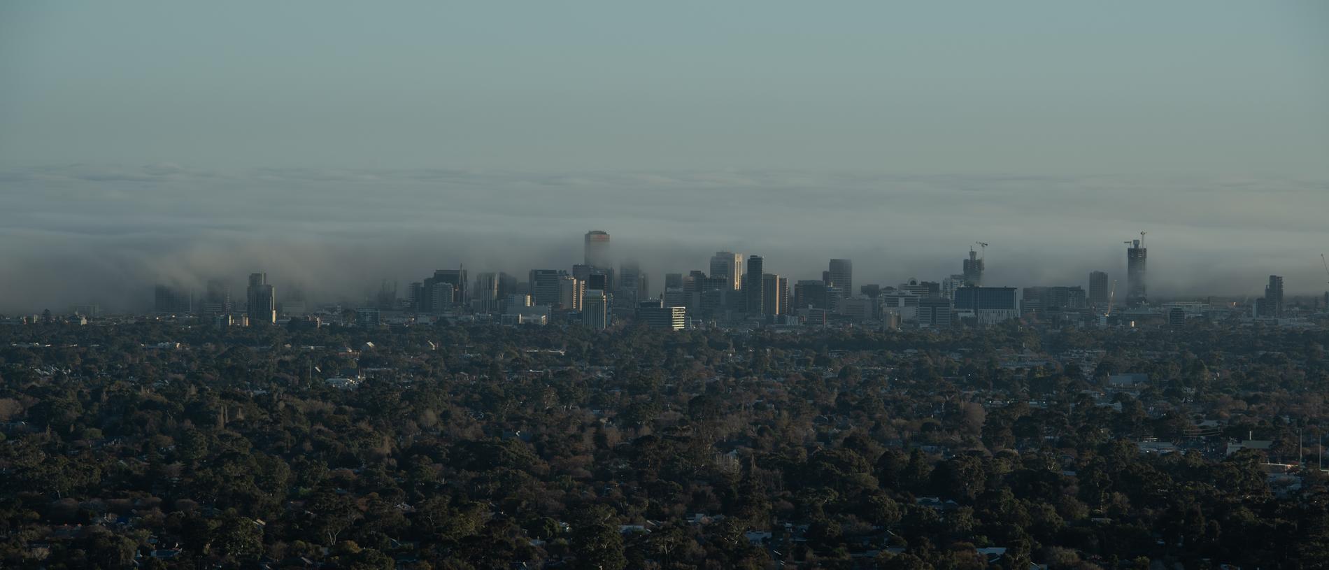 Fog drifts over the Adelaide CBD: Picture: Brad Fleet