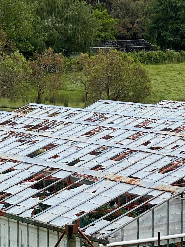 Hail damage to the glasshouses at Valley Fresh Farm in Huonville. Picture: Supplied