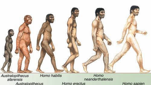 Scene from CD2 evolution from the Family Encyclopedia Children's Collection showing the evolution of man.
