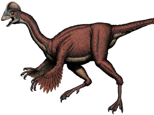 Hell’s Chicken — a 2m tall birdlike dinosaur — has been given a formal ...