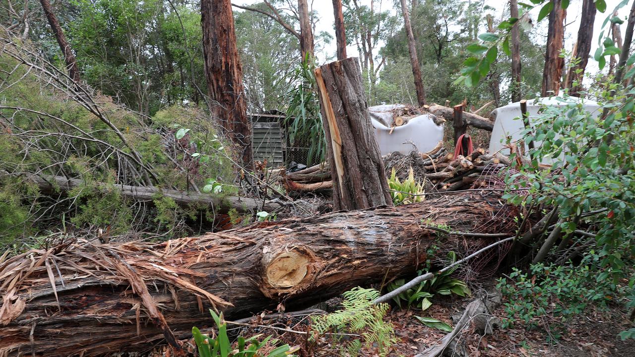 Mirboo North storm damage and clean up. Picture: Yuri Kouzmin