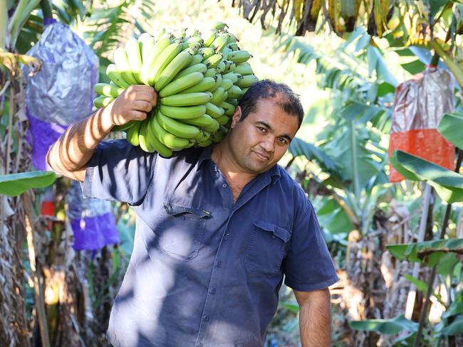 Coffs Harbour farmer Paul Shoker. Picture: Frank Redward