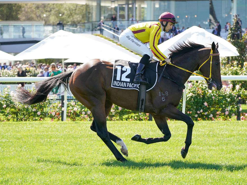 Seppelt Wines Newmarket Handicap