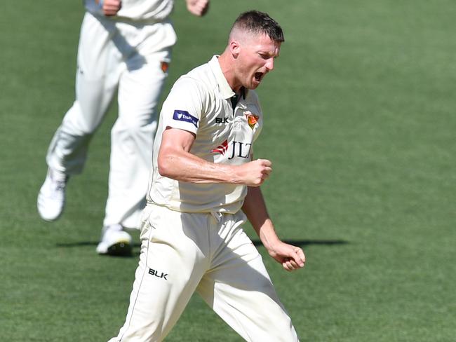 Tasmania’s Jackson Bird celebrates taking the wicket of South Australia’s Jake Lehmann at Adelaide Oval on Monday. Picture: AAP 