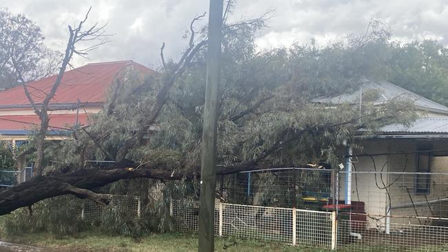 Large trees fell onto homes, with one resident describing her terror as she tried to stay safe in the storm. Picture: NSW SES