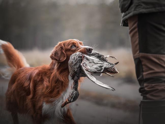 Kristiina Tammik’s entry into the 2020 Sony World Photography Awards, which took home a place of Winner in the National Awards. Picture: Kristiina Tammik, Estonia/2020 Sony World Photography Awards