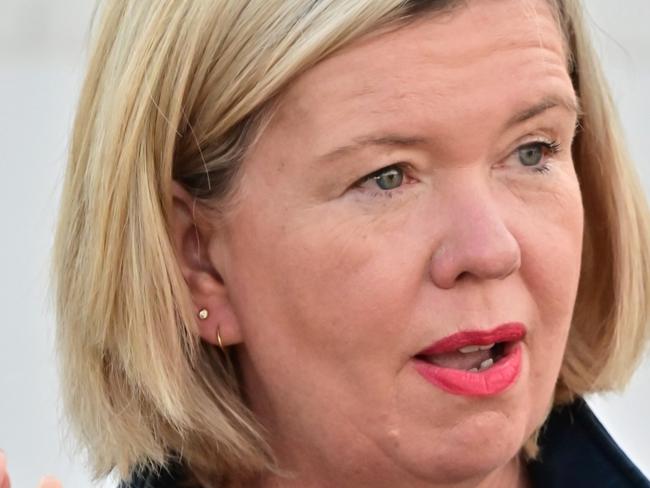 LAUNCESTON, TASMANIA, NewsWire Photos. 3 MAY, 2025. Bridget Archer, Liberal MP for the Northern Tasmanian seat of Bass speaks to the media after voting at the Kings Meadows YMCA in Launceston on election day. Picture: NewsWire/ Scott Gelston