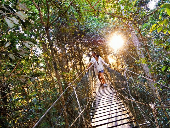 Open to the public, the free Tree Top Walk is an iconic part of O’Reilly’s Rainforest RetreatFor Best of the Gold Coast hikes/walks 2019 in Gold Coast Eye