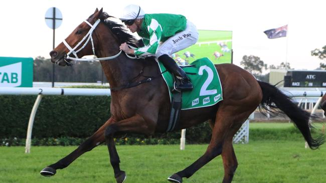 Zegalo has been good in his last two starts and can break through at Rosehill on Saturday. Picture: Grant Guy