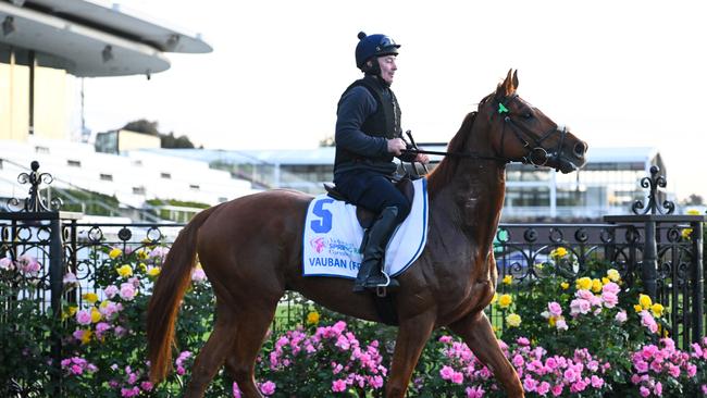 Vauban drew a favourable barrier for the Melbourne Cup. (Photo by Vince Caligiuri/Getty Images)