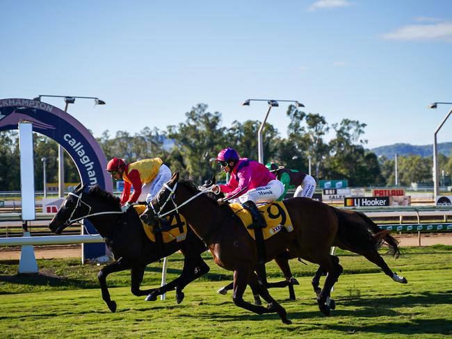 REVEALED: When crowds will likely be back at Rocky races