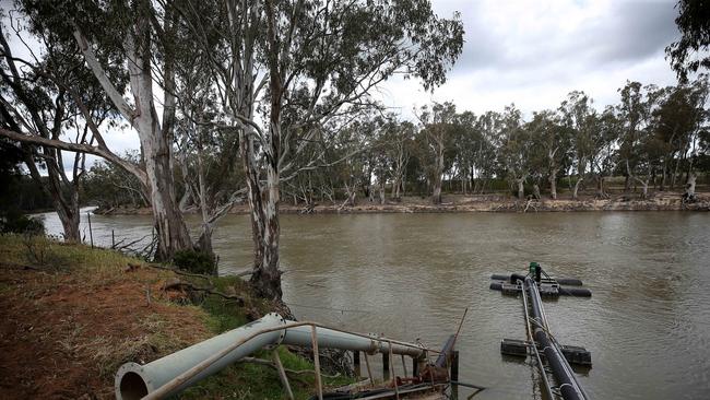 Just a handful of water brokers are snapping up trade through the Barmah Choke. Picture: Yuri Kouzmin