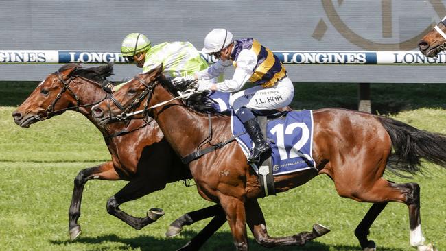 SYDNEY, AUSTRALIA - OCTOBER 29: Brenton Avdulla (lime green) on Star Of India wins race 6 the Rosehill Gold Cup during Sydney Racing at Rosehill Gardens on October 29, 2022 in Sydney, Australia. (Photo by Jenny Evans/Getty Images)