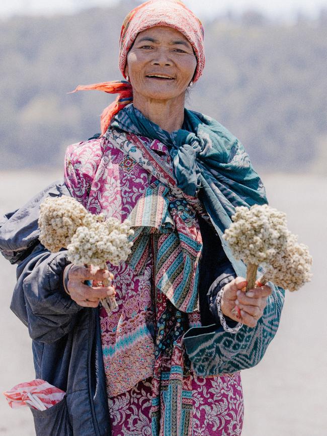 A vendor sells Javanese edelweiss.