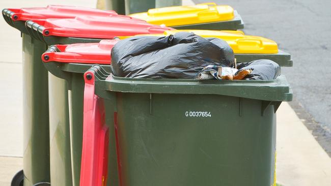 Green-lid bins could soon be where Hills residents put their food scraps.