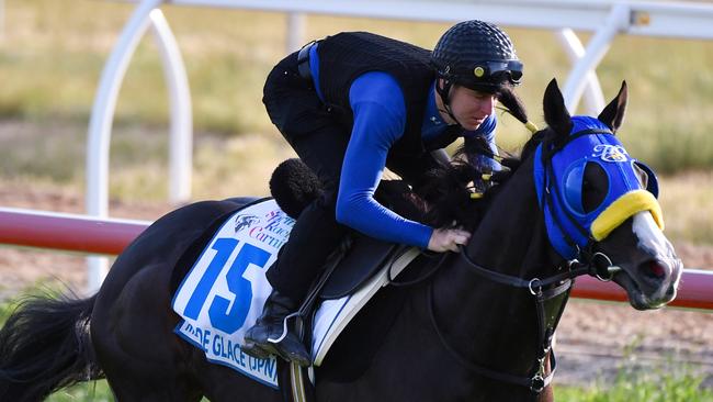 Caulfield Cup winner Mer De Glace will be striving to claim the Cups double on Tuesday. Picture: AAP