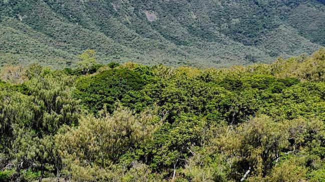 Toyah Cordingley, 24, was killed on Wangetti Beach, north of Cairns, in October 2018, and on Monday a jury will resume its deliberations to decide if Rajwinder Singh, 40, is guilty or not guilty of her murder.Picture: Brendan Radke