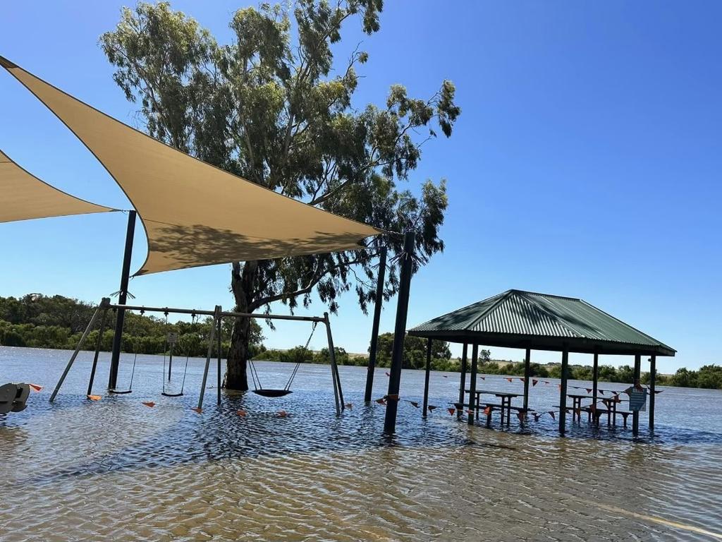 The river at Thiele Reserve, Murray Bridge, on December 25. Picture: Damon Schulz