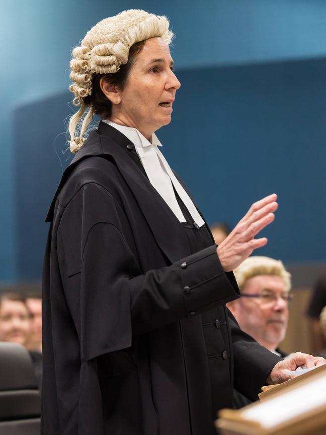 Solicitor General Sonia Brownhill speaking in court in 2017. Photo: Emma Murray