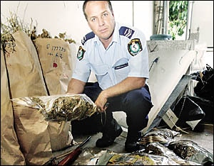 Two held after 2m drug raids on 15 properties Daily Telegraph