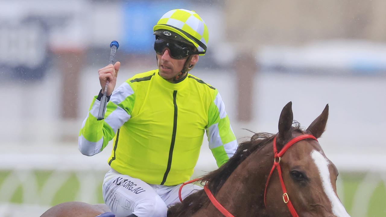 Nash Rawiller rides King Of Naples for trainer John O’Shea. Picture: Getty Images