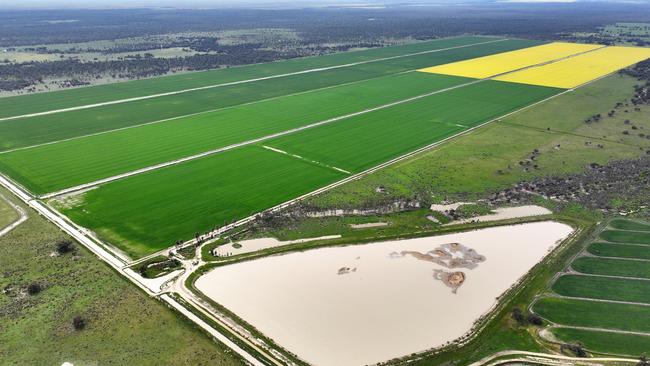 Werai Station has been used for extensive winter and summer cropping while also carrying Angus cattle and sheep.